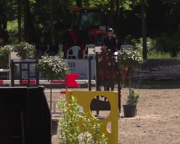 Reitturnier Mönchengladbach-Wickrath 2017