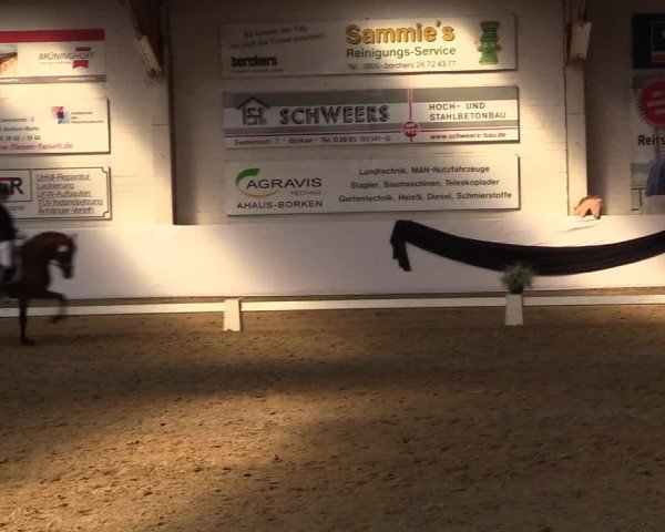 Reitturnier Borken 2017