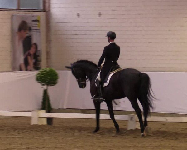 Reitturnier Borken 2017