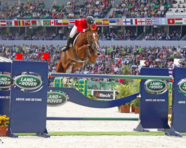 stallion Rothchild (Belgium Sporthorse, 2001, from Artos Z)