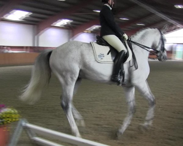 Reitturnier Iserlohn-Kalthof 2017