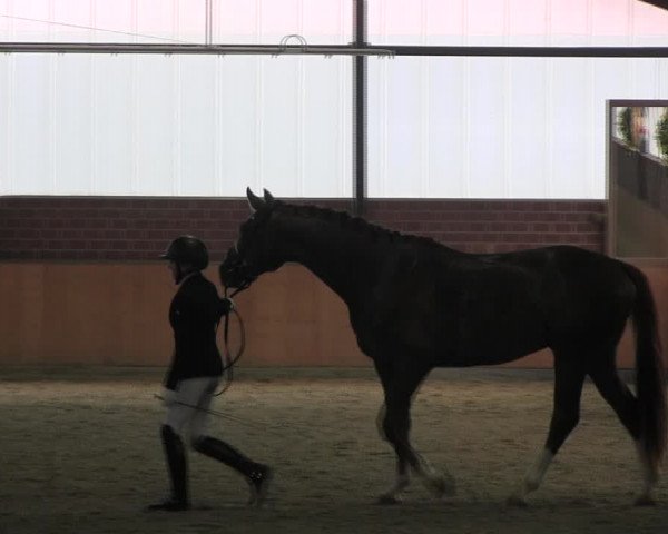 Reitturnier Iserlohn-Kalthof 2017