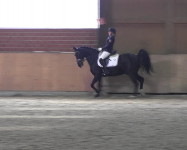 Reitturnier Iserlohn-Kalthof 2017
