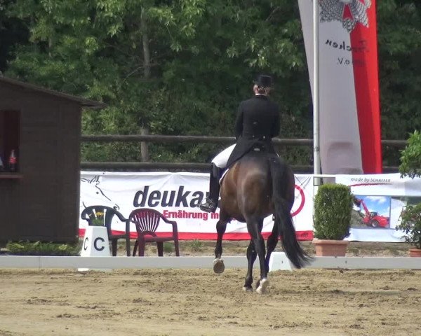 Reitturnier Frechen-Grefrath - Sonnenhof 2017