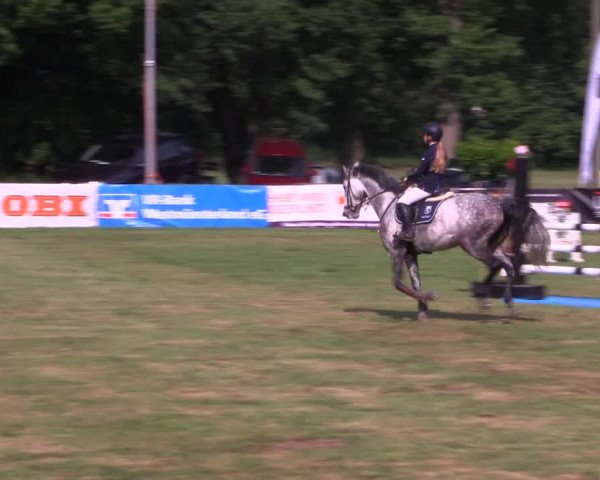 Reitturnier Borken 2017