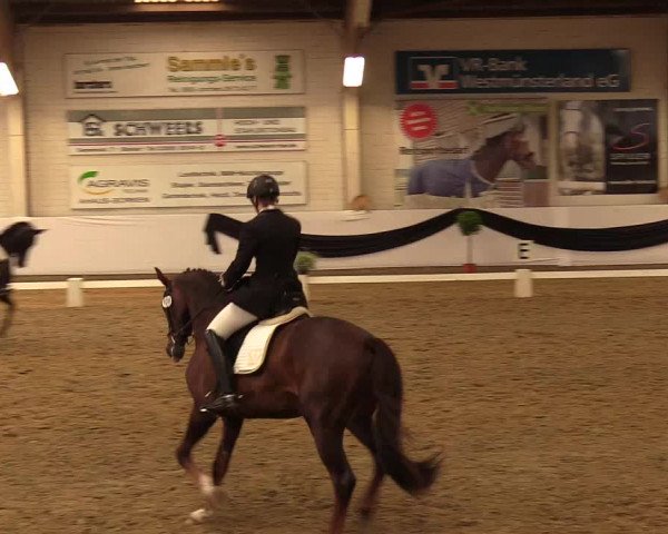 Reitturnier Borken 2017