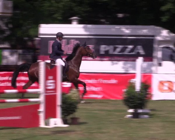 Reitturnier Borken 2017
