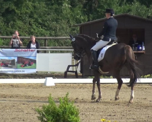 Reitturnier Frechen-Grefrath - Sonnenhof 2017