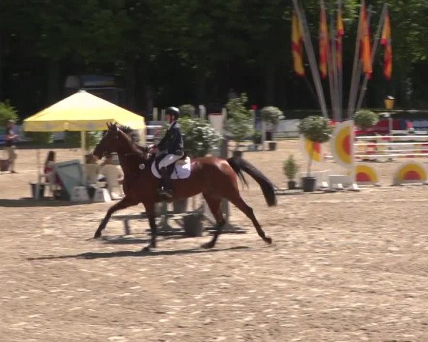 Reitturnier Mönchengladbach-Wickrath 2017