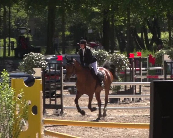 Reitturnier Mönchengladbach-Wickrath 2017