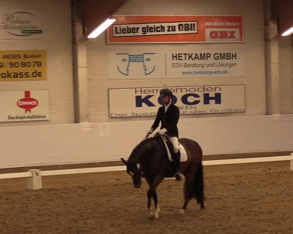 Reitturnier Borken 2017