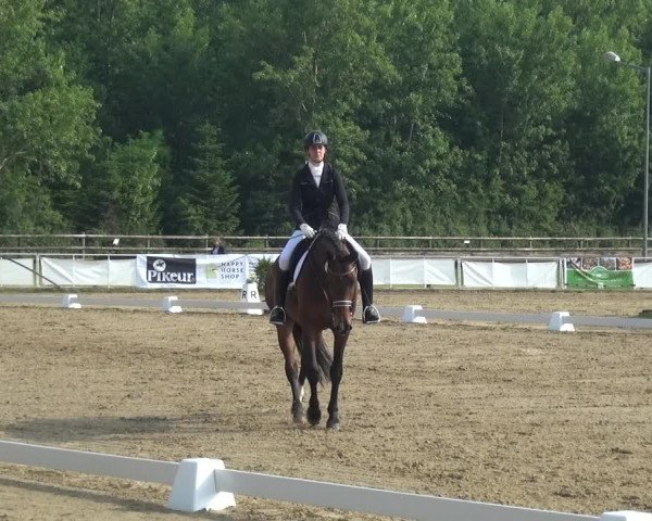 Reitturnier Frechen-Grefrath - Sonnenhof 2017