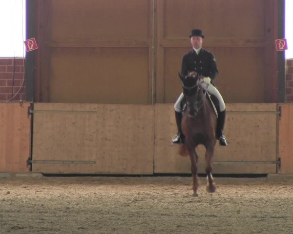 Reitturnier Iserlohn-Kalthof 2017