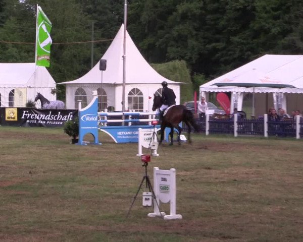 Reitturnier Borken 2017