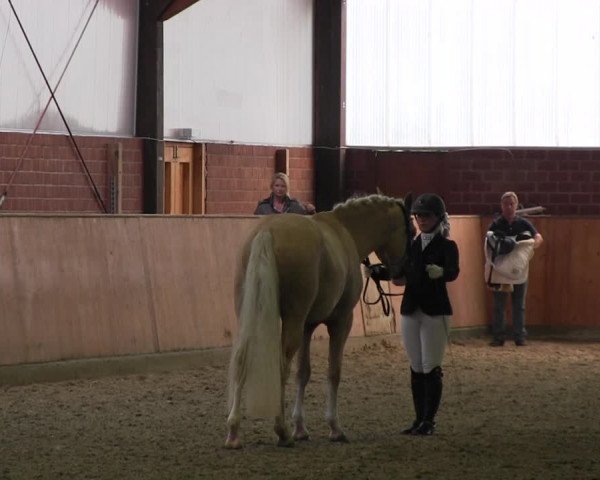 Reitturnier Iserlohn-Kalthof 2017