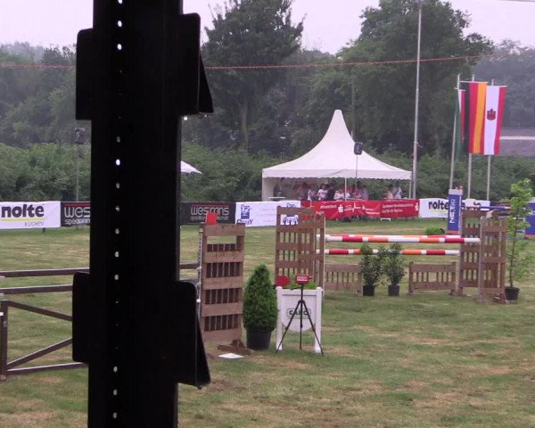 Reitturnier Borken 2017