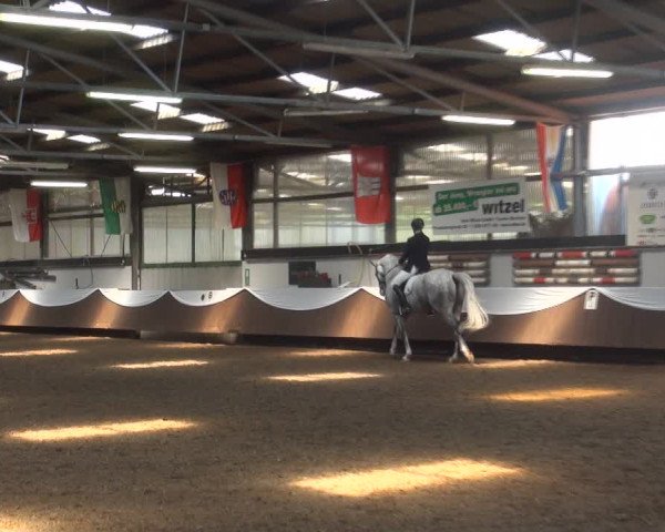 Reitturnier Bochum-Nord 2017
