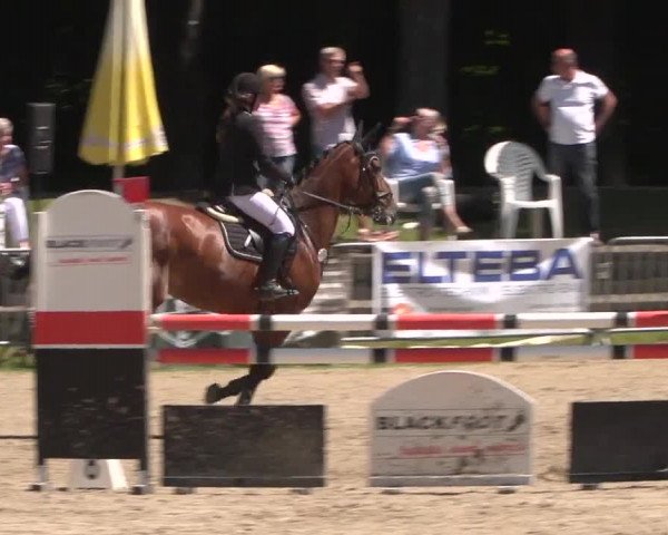 Reitturnier Mönchengladbach-Wickrath 2017