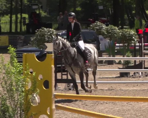Reitturnier Mönchengladbach-Wickrath 2017