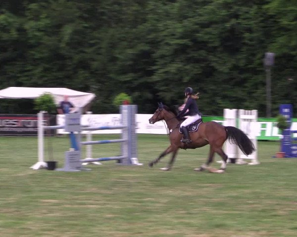 Reitturnier Borken 2017