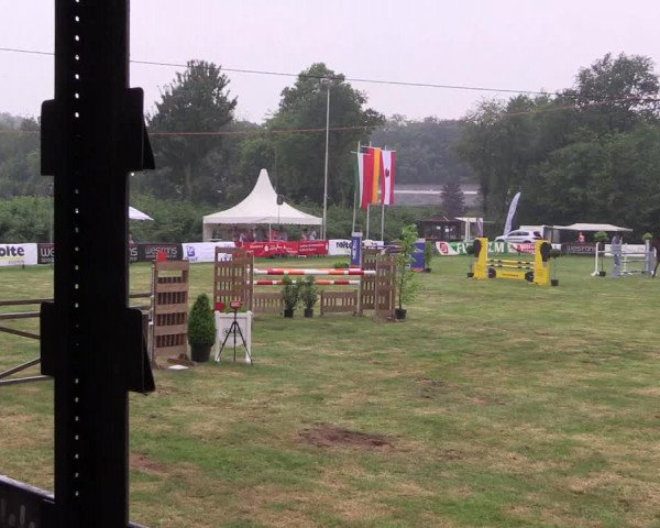 Reitturnier Borken 2017