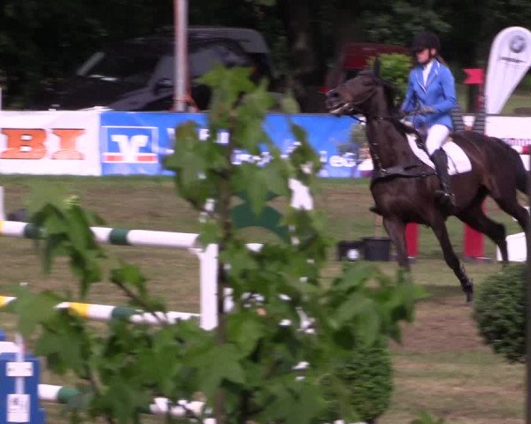 Reitturnier Borken 2017