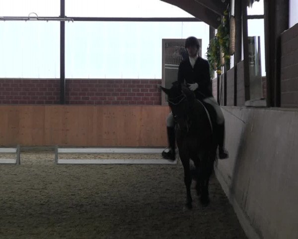 Reitturnier Iserlohn-Kalthof 2017