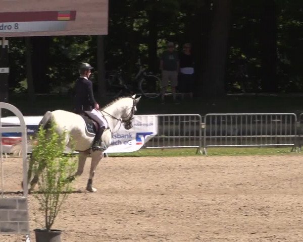 Reitturnier Mönchengladbach-Wickrath 2017