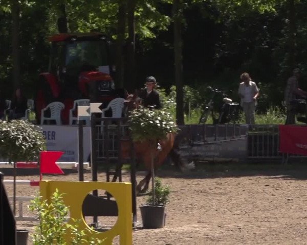 Reitturnier Mönchengladbach-Wickrath 2017