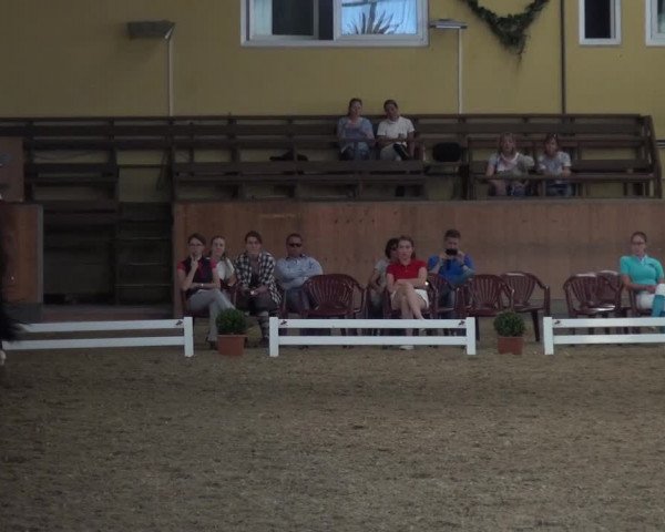 Reitturnier Frechen-Grefrath - Sonnenhof 2017