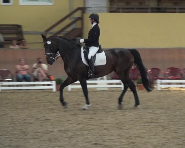 Reitturnier Frechen-Grefrath - Sonnenhof 2017