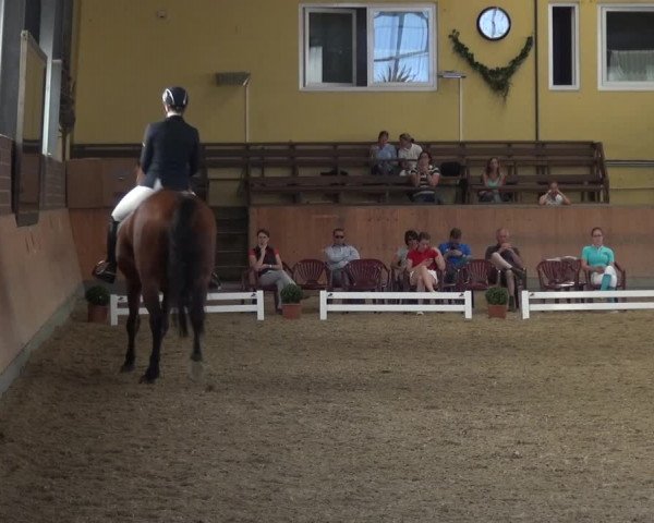 Reitturnier Frechen-Grefrath - Sonnenhof 2017