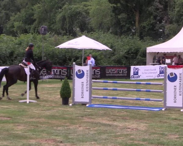 Reitturnier Borken 2017