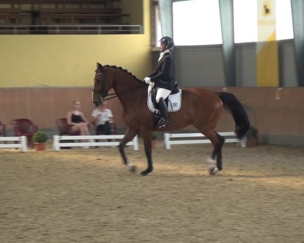 Reitturnier Frechen-Grefrath - Sonnenhof 2017