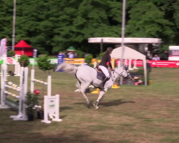 Reitturnier Borken 2017