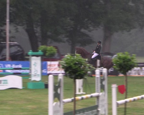 Reitturnier Borken 2017