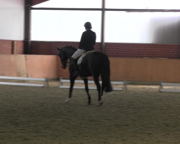 Reitturnier Iserlohn-Kalthof 2017