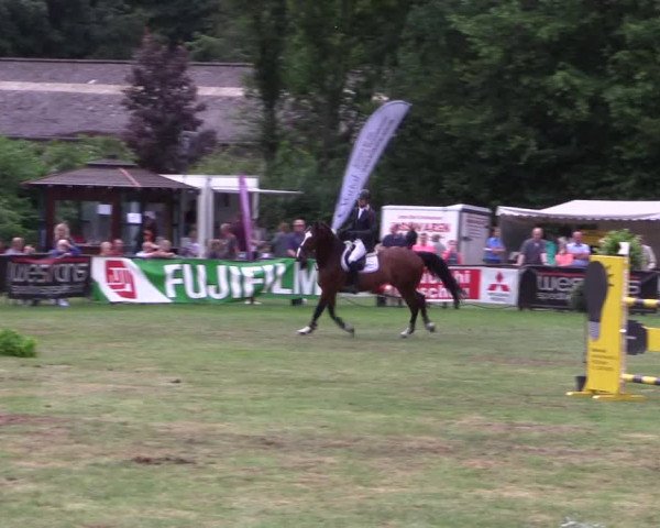 Reitturnier Borken 2017