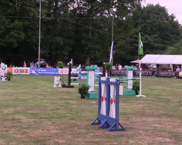 Reitturnier Borken 2017