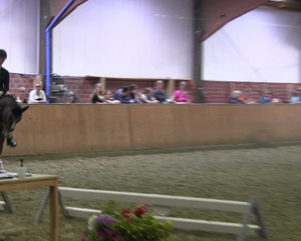Reitturnier Iserlohn-Kalthof 2017
