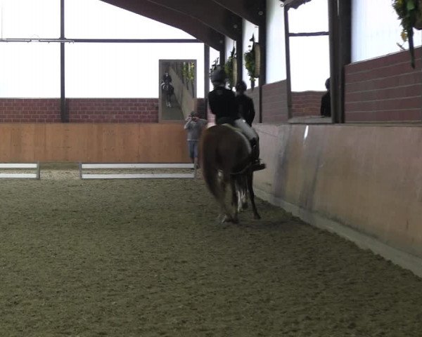 Reitturnier Iserlohn-Kalthof 2017