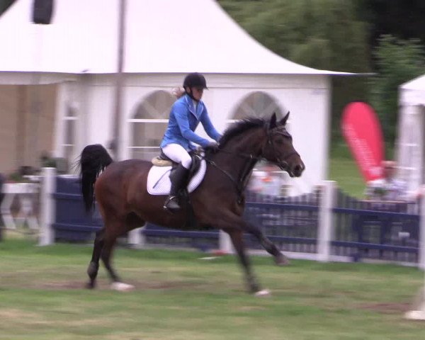 Reitturnier Borken 2017