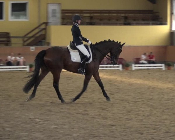 Reitturnier Frechen-Grefrath - Sonnenhof 2017