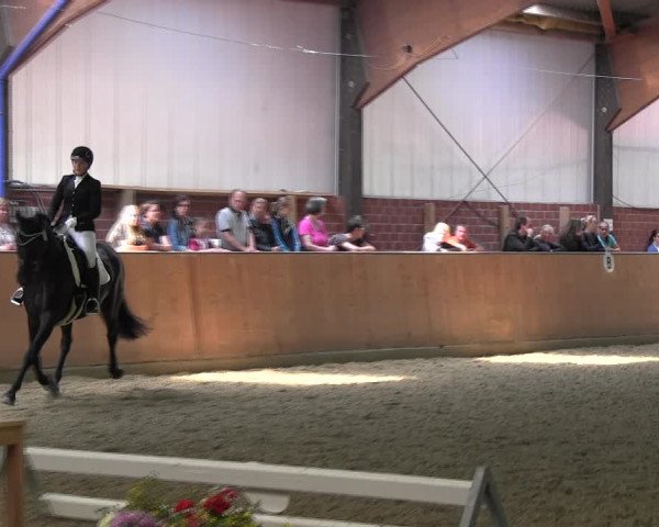 Reitturnier Iserlohn-Kalthof 2017