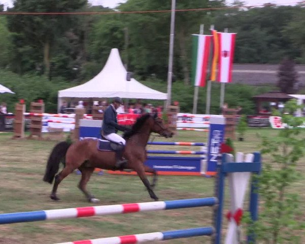 Reitturnier Borken 2017