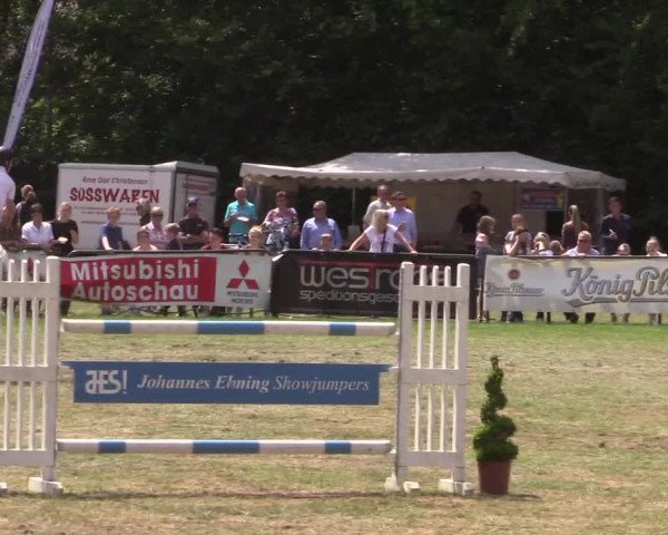 Reitturnier Borken 2017