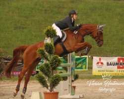 jumper Stakkordina (Hanoverian, 2012, from Stakkato)