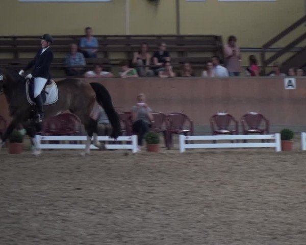 Reitturnier Frechen-Grefrath - Sonnenhof 2017