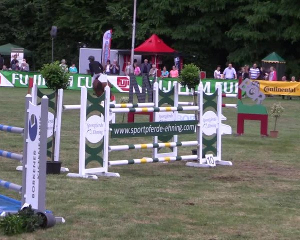 Reitturnier Borken 2017