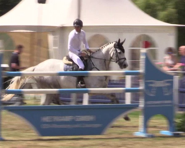 Reitturnier Borken 2017
